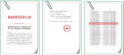 【喜讯】邦希化工被认定为省科技型企业